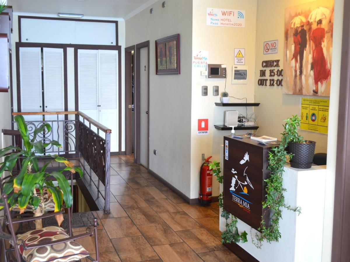 Terra Mia Hotel Restaurant East 산 안토니오 외부 사진